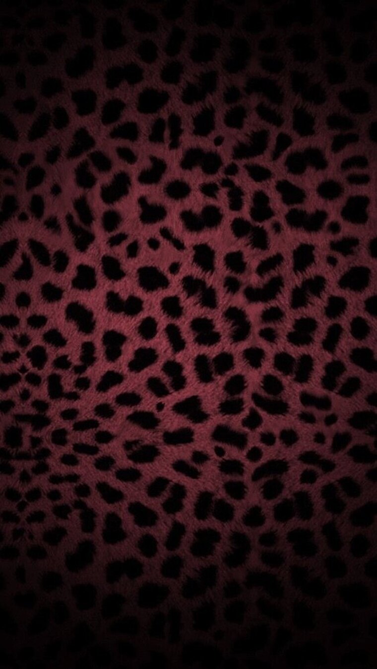 BabeKitty🎀 banner image