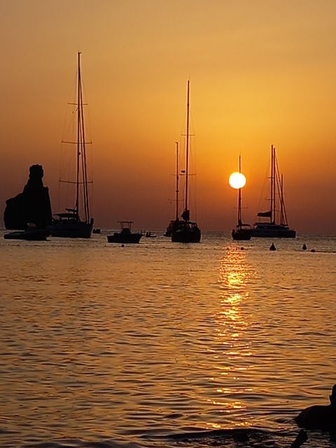 Bebellota cover image