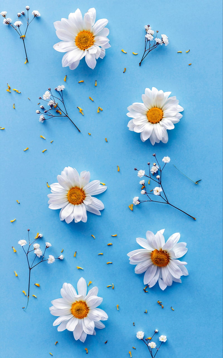 Bebesiitaa cover image