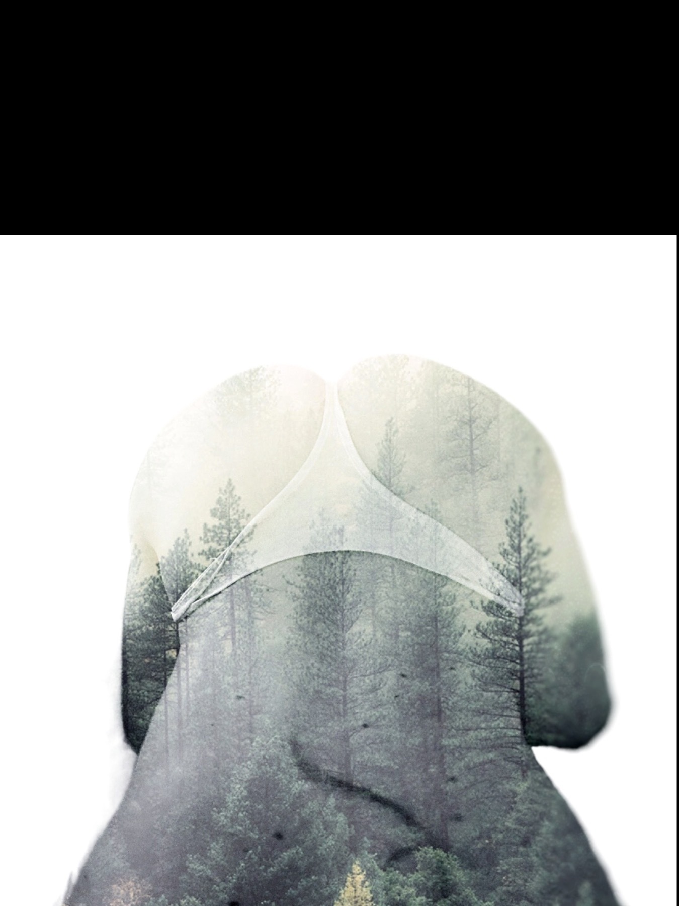 BeccyCray banner image