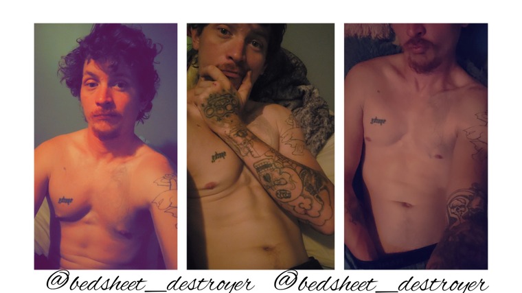 Bedsheet destroyer cover image