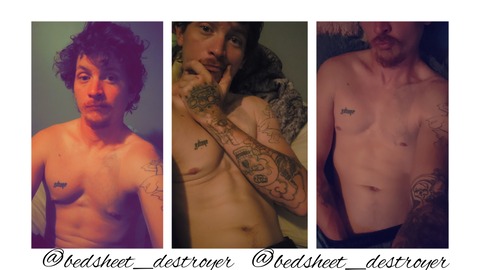 Bedsheet destroyer cover image