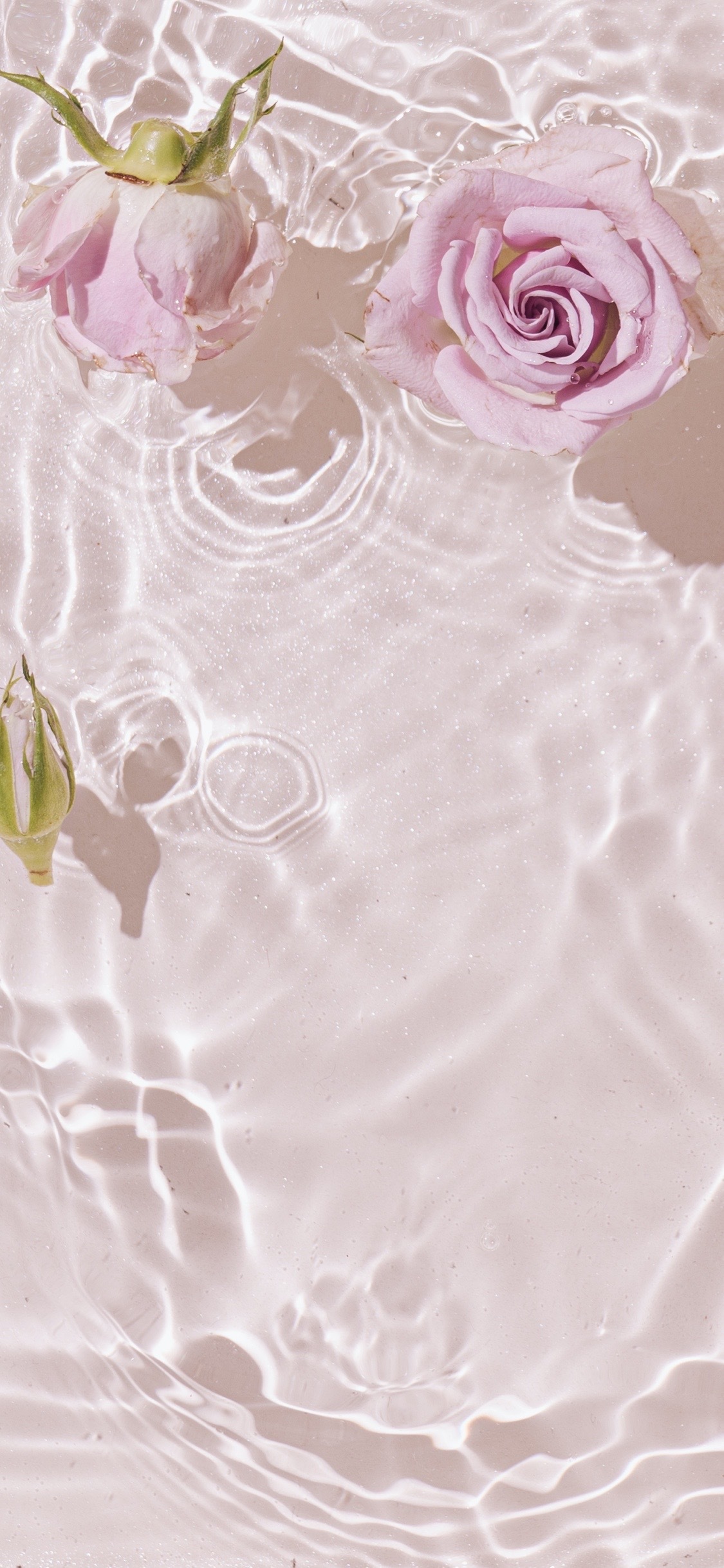 beebo💚✨ banner image