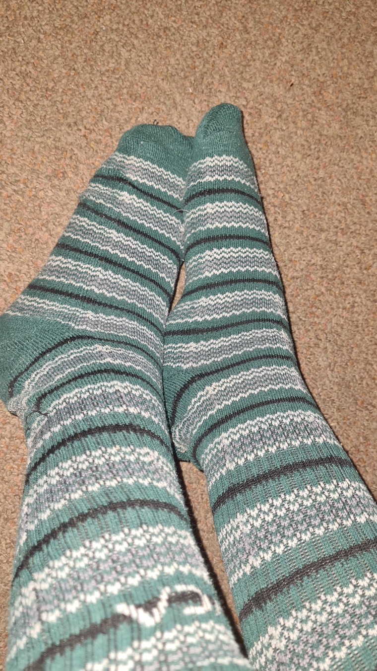 Beeeesfeet banner image