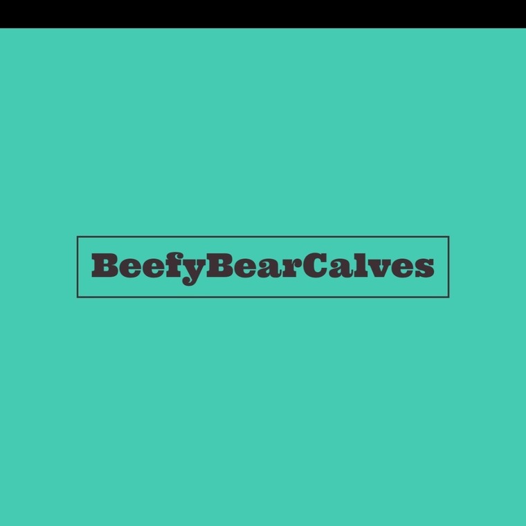 BeefyBearCalves cover image