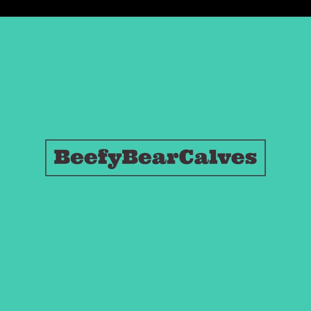 BeefyBearCalves banner image