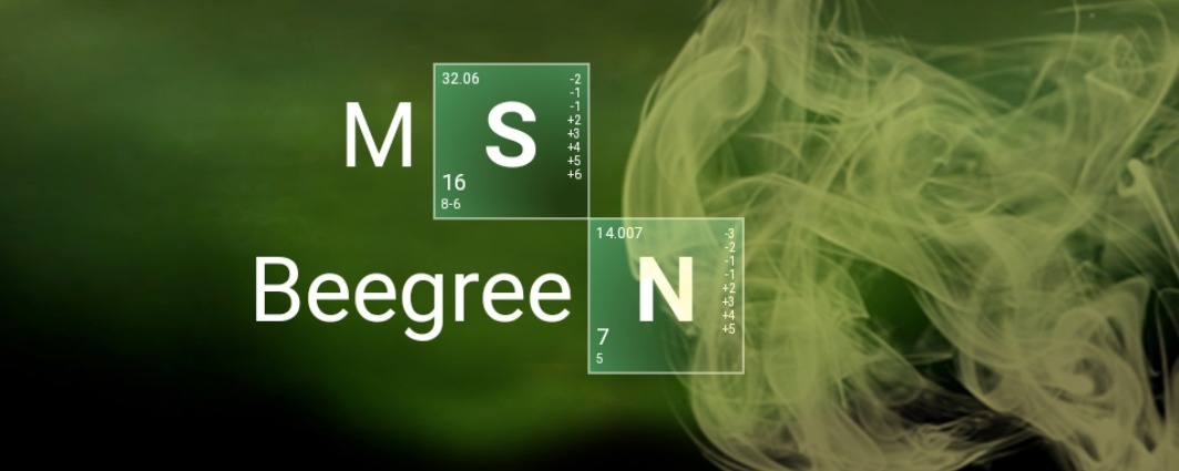 Mss Beegreen banner image