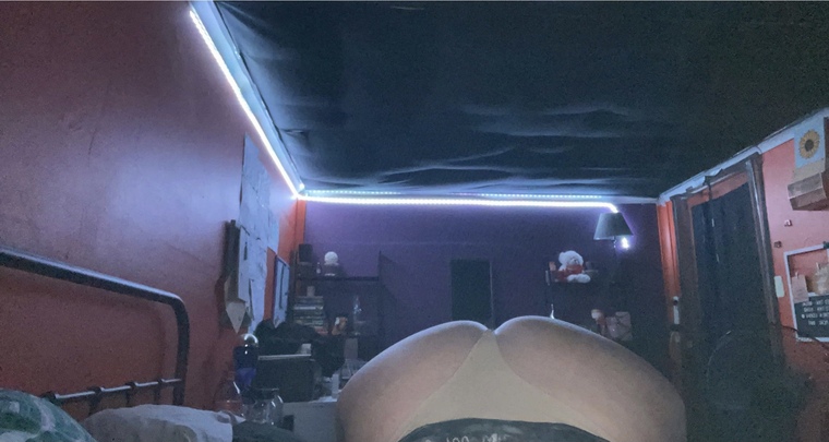 Amy cover image