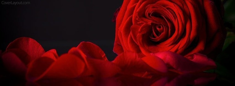 Bekah Rose cover image