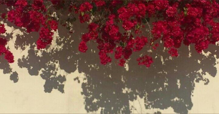 Beka Rosewood banner image