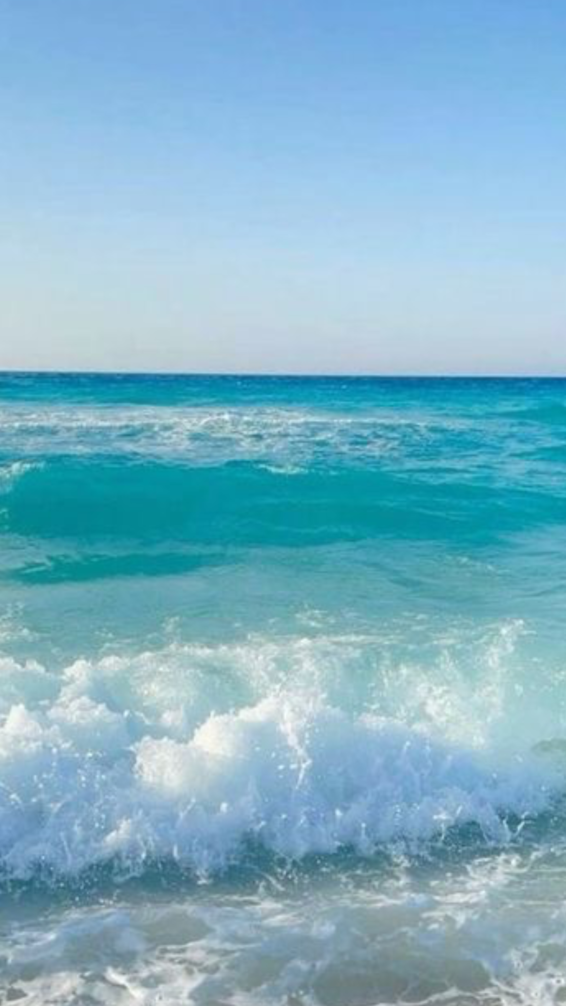 Bel Disastro banner image