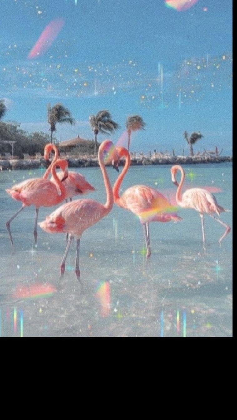 Isabelle Castro banner image