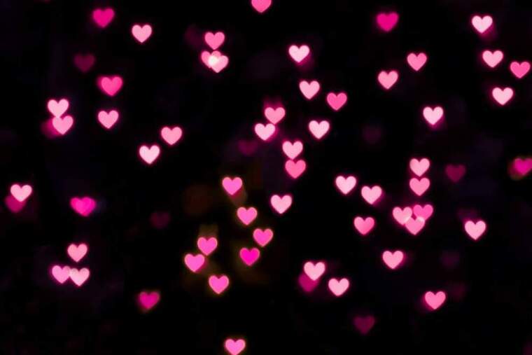 Bella banner image
