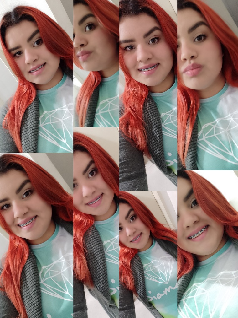 Bella_flor. banner image