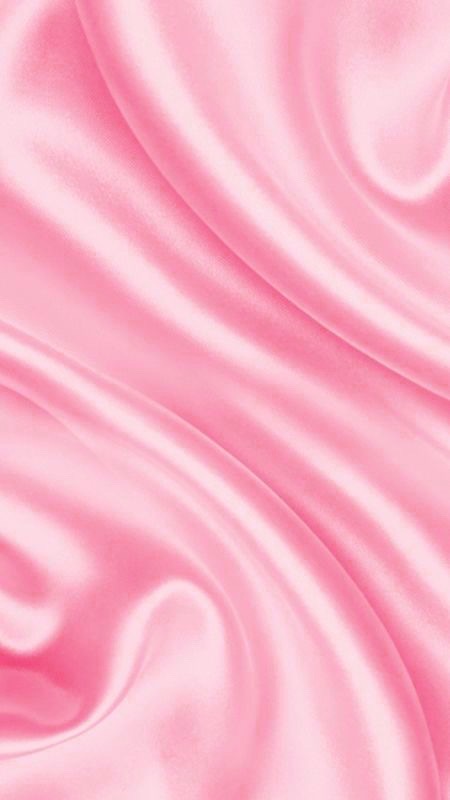 Bella_bunny banner image