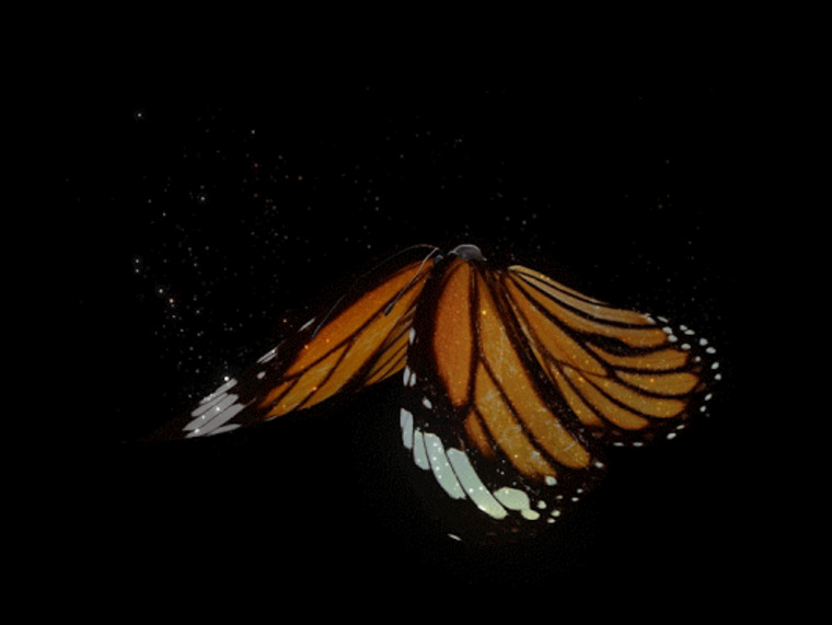 Vixen banner image