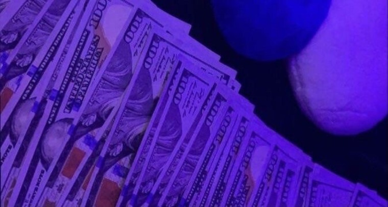 Bella๐ banner image