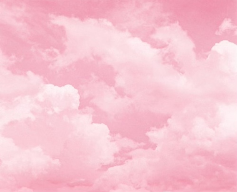 bella cover image