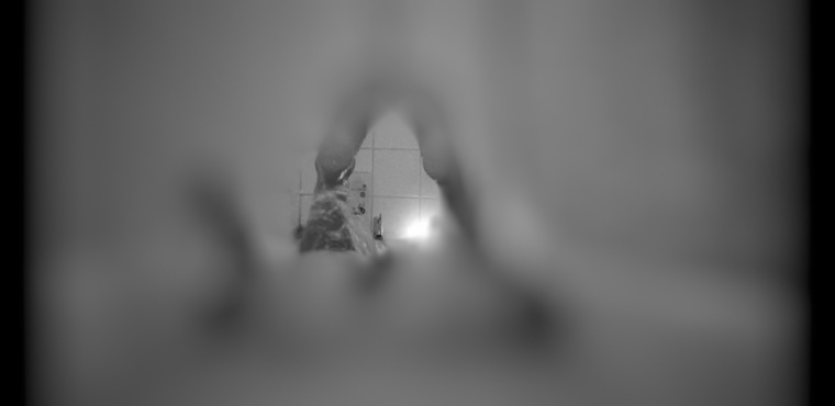 B E L L A banner image