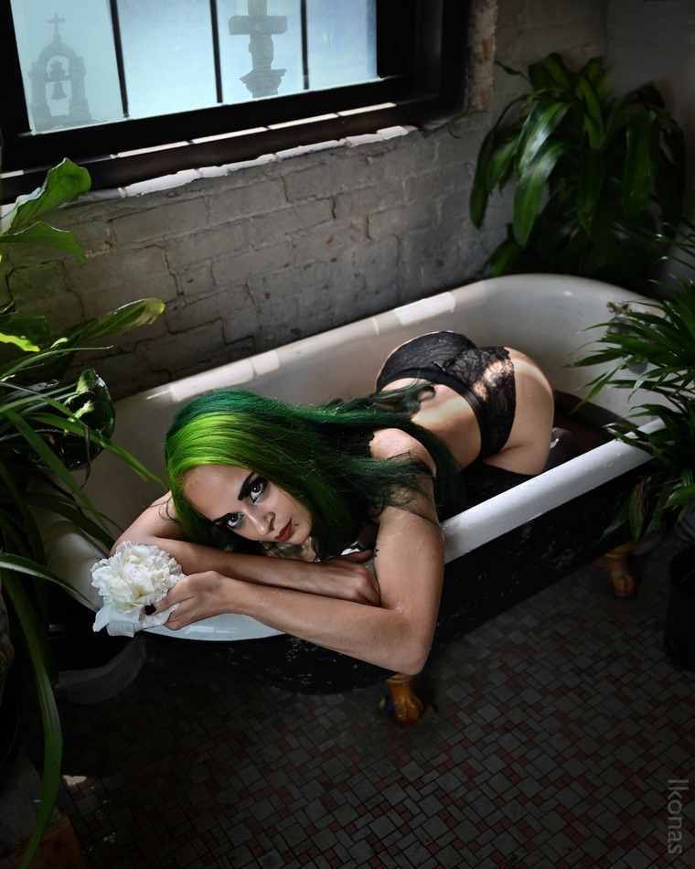 Bella Fae banner image