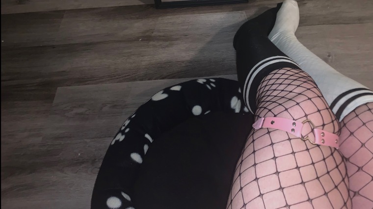 Bella banner image