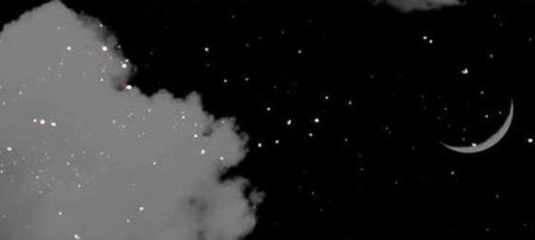Bella Moon banner image