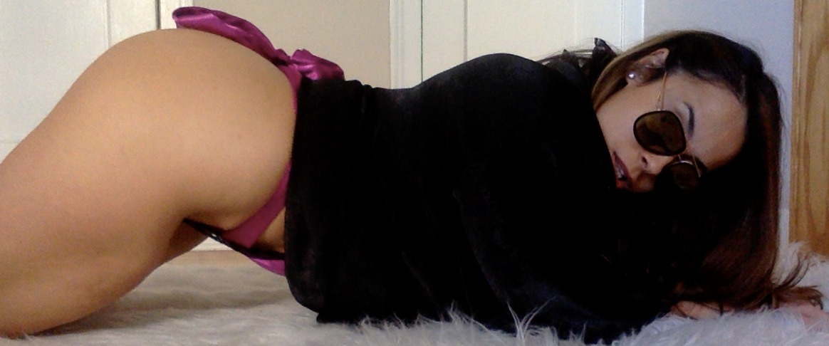Bella Roque banner image
