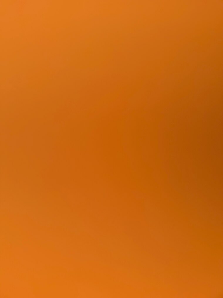 Bella Bikini Diaries banner image
