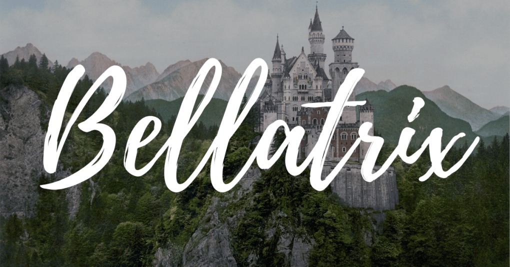 Bellatrix banner image