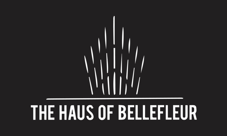 Stephanie Bellefleur banner image