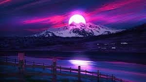 Bel.. banner image