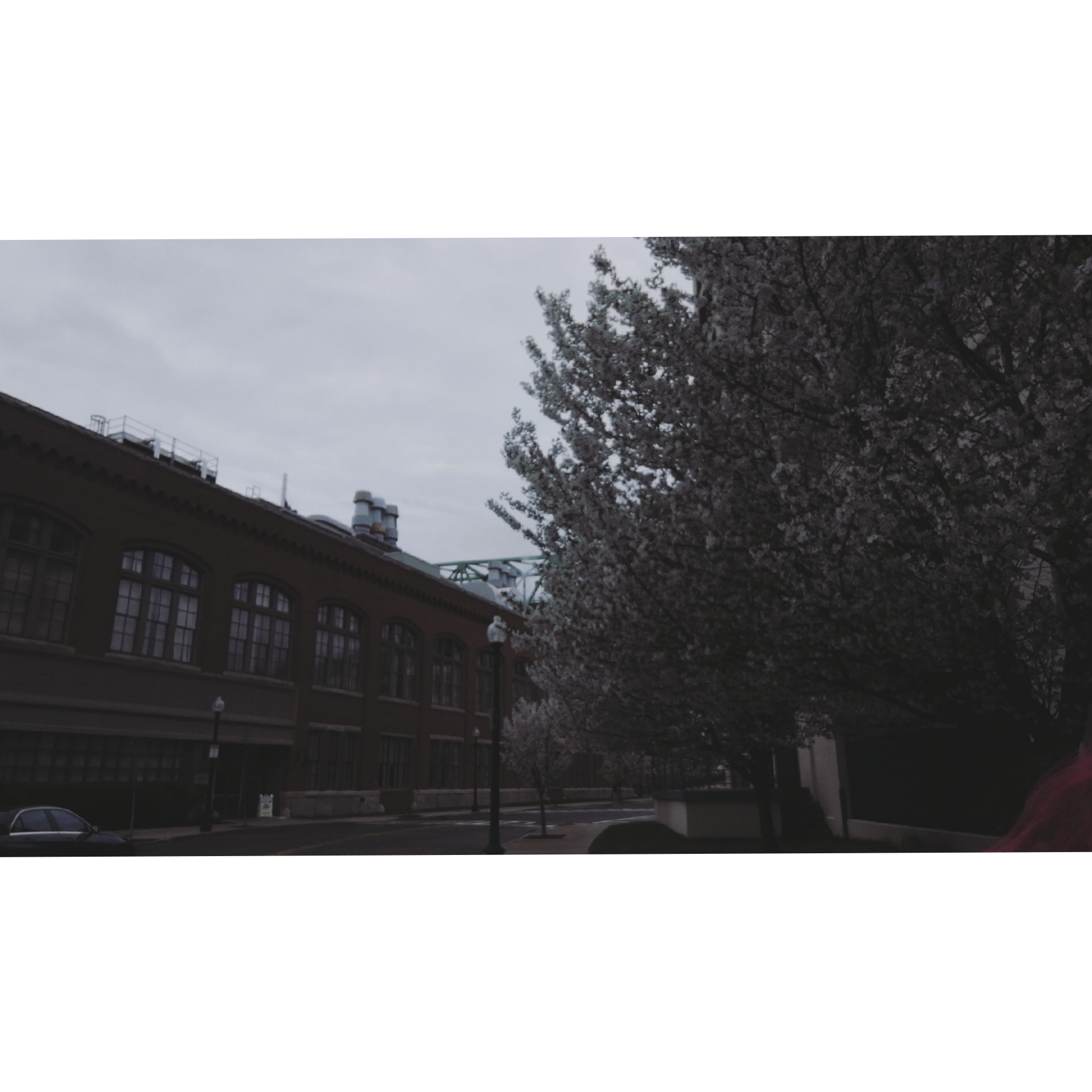 🥀 cover image