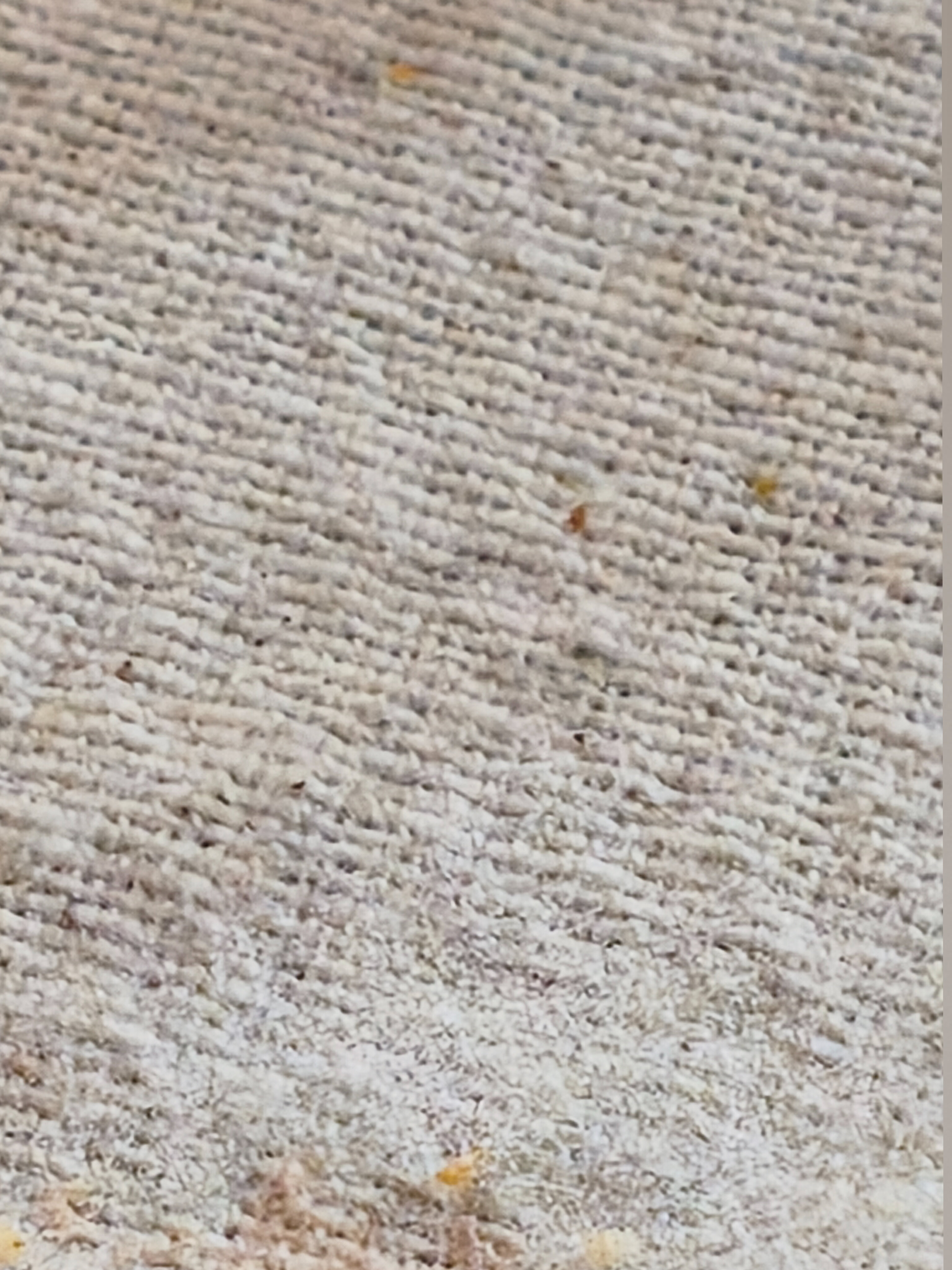 Bendeguz banner image