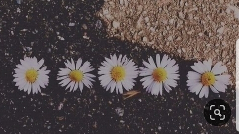 BendOverBecky 🔥 cover image