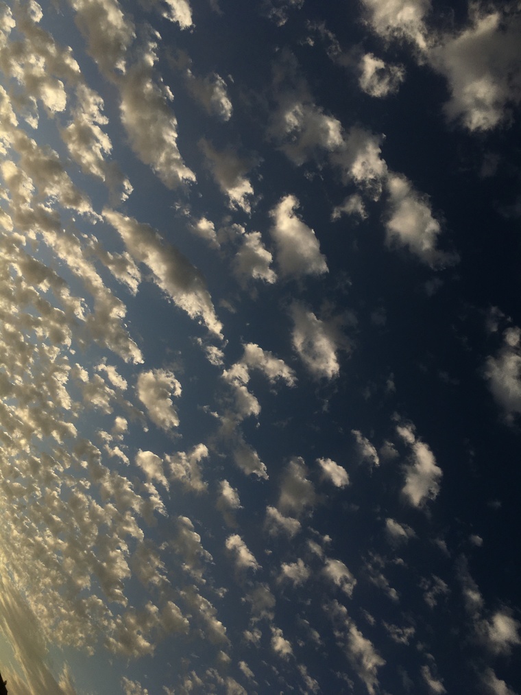 Belen banner image