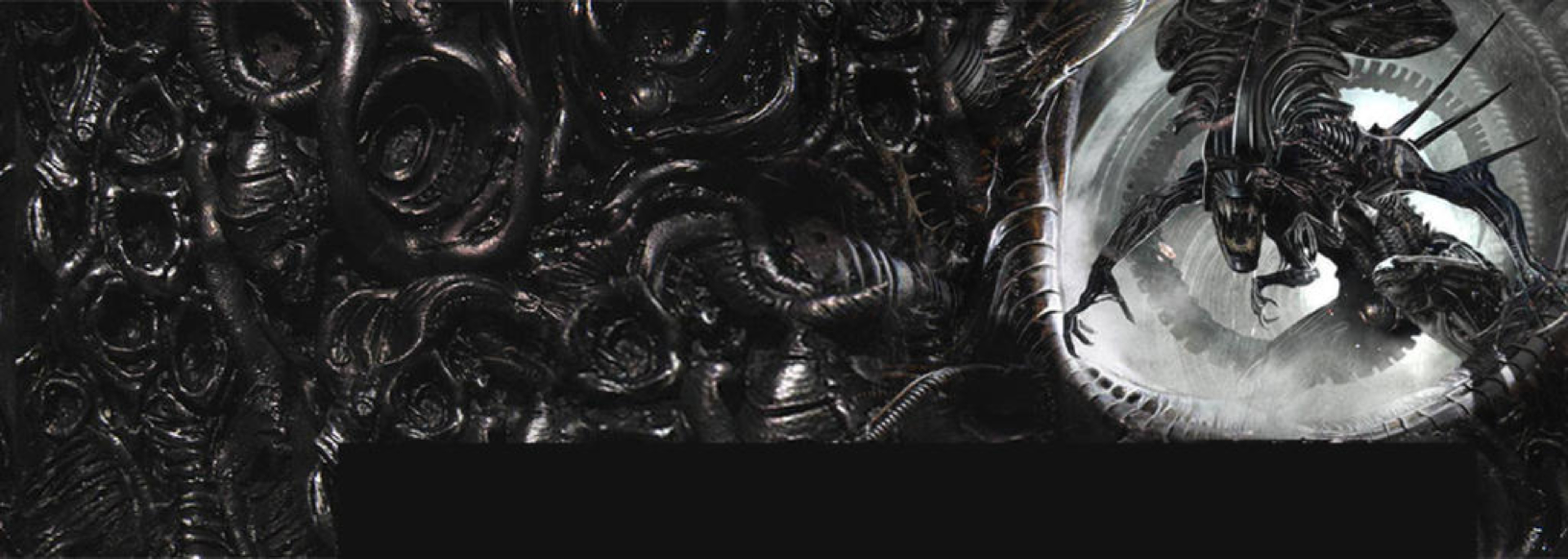 Ben Moore NO PPV banner image