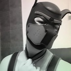 Benno the puppy avatar