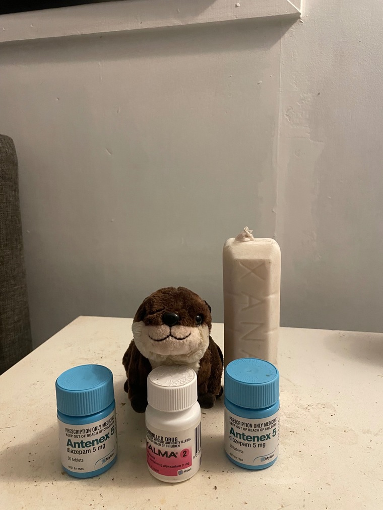 Benzo Otter cover image