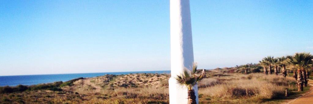 BertoRMXX banner image