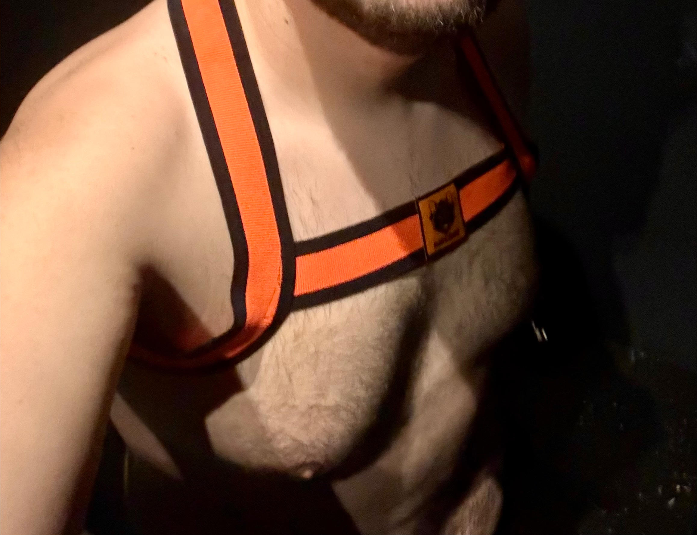 The Belgian Dude banner image