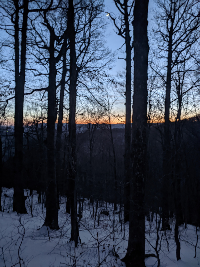Best of Nature banner image