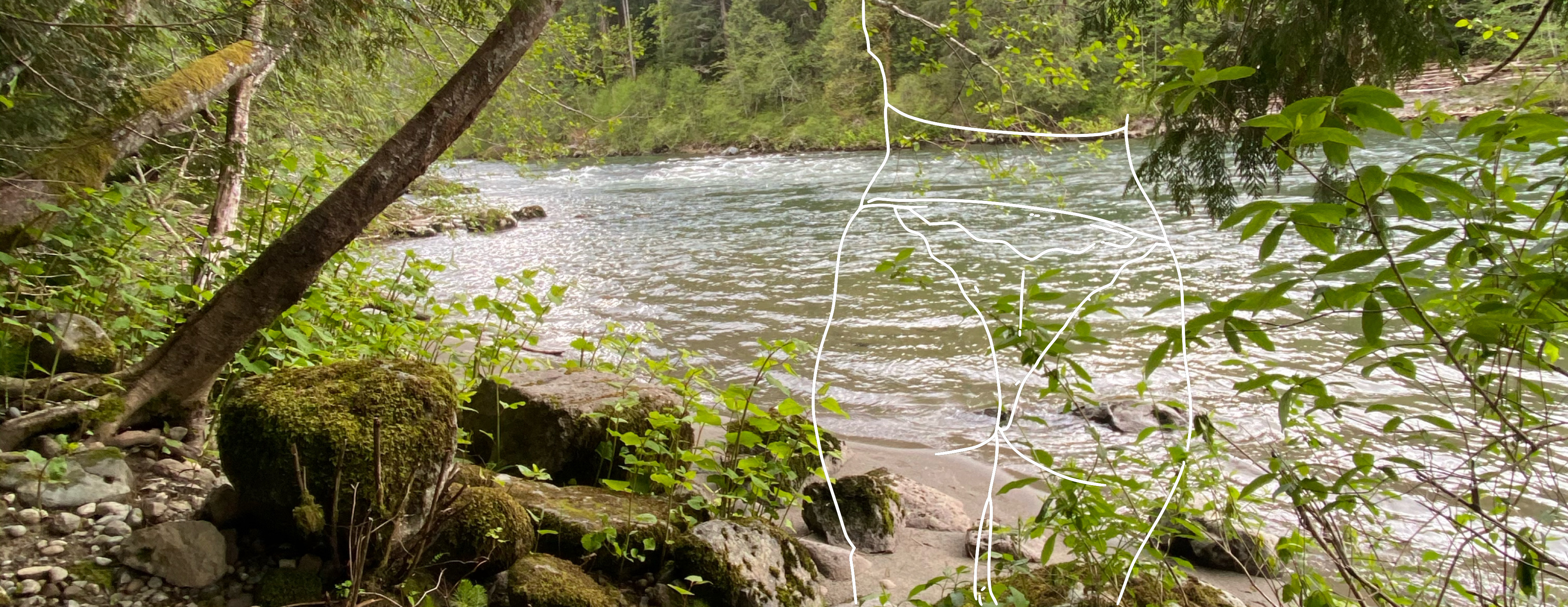Bethany Harper banner image