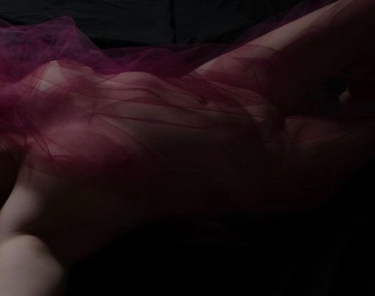 Bee cover image