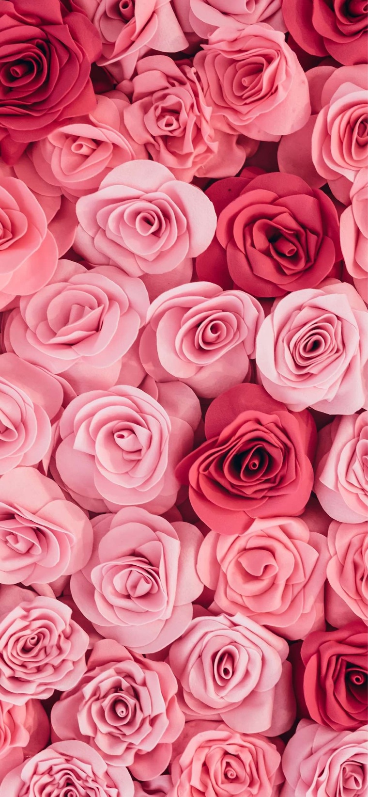 betterbrunettebabe banner image