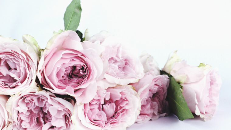 BettyBlush cover image