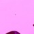 Betty Forgetty avatar