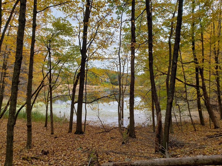 Chris banner image