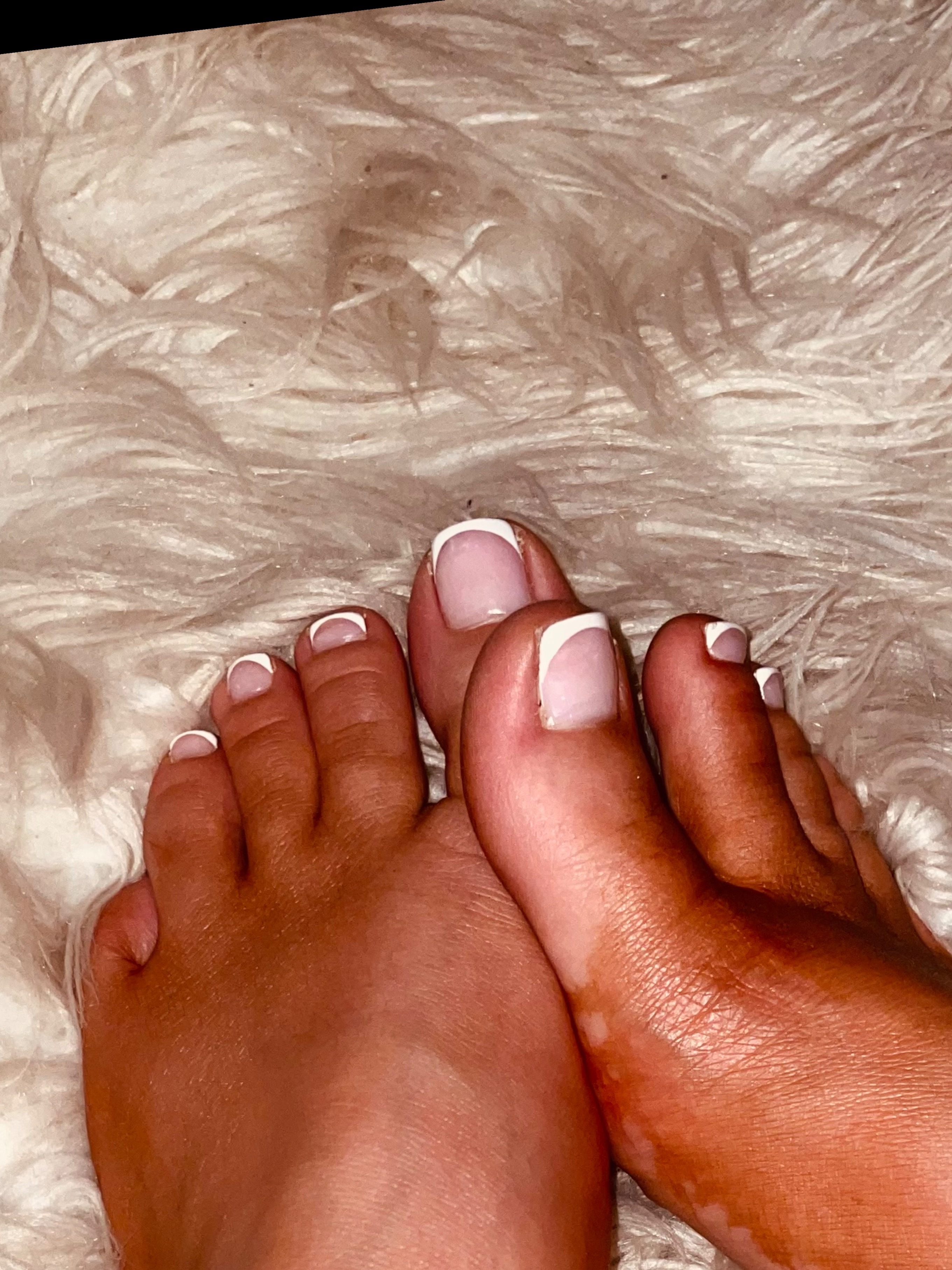 Barefoot Bunni banner image