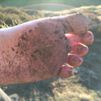 Bare Foot Wanderer avatar