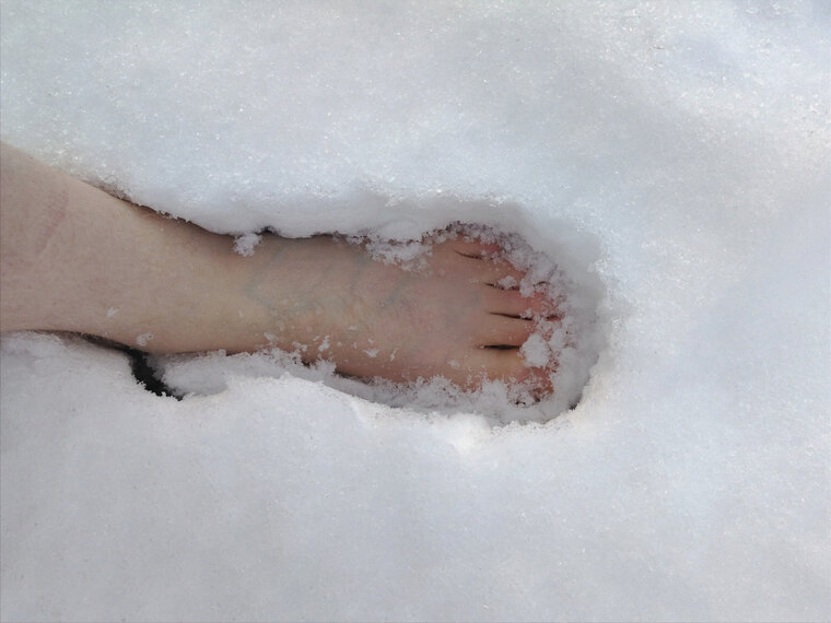 Bare Foot Wanderer banner image